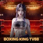 Boxing King TV88