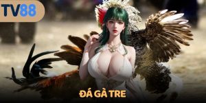 đá gà tre