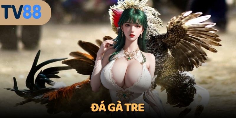đá gà tre