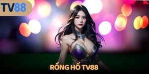 Rồng Hổ TV88