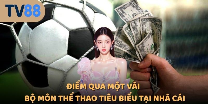 Điểm qua một vài bộ môn thể thao tiêu biểu tại nhà cái